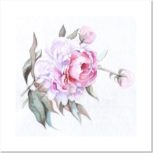 A single Pink Rose - Beautiful Flower Posters and Art